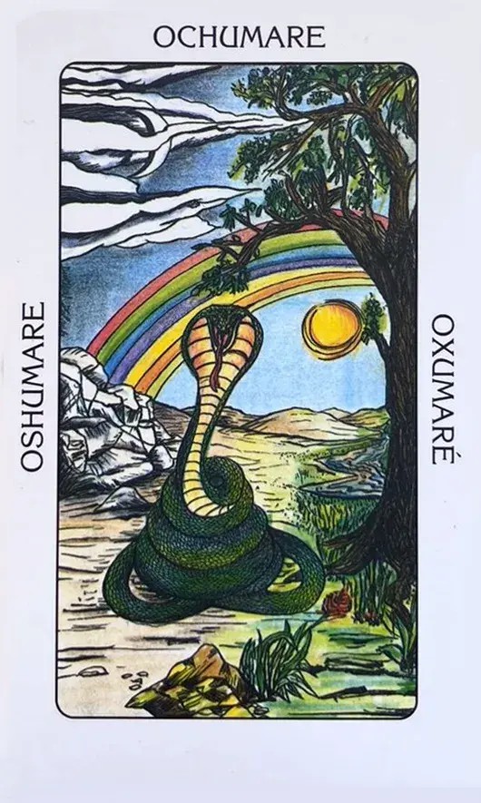 uma cobra ou serpente verde ao lado de uma arvore com um arco-iris no ceu azul.