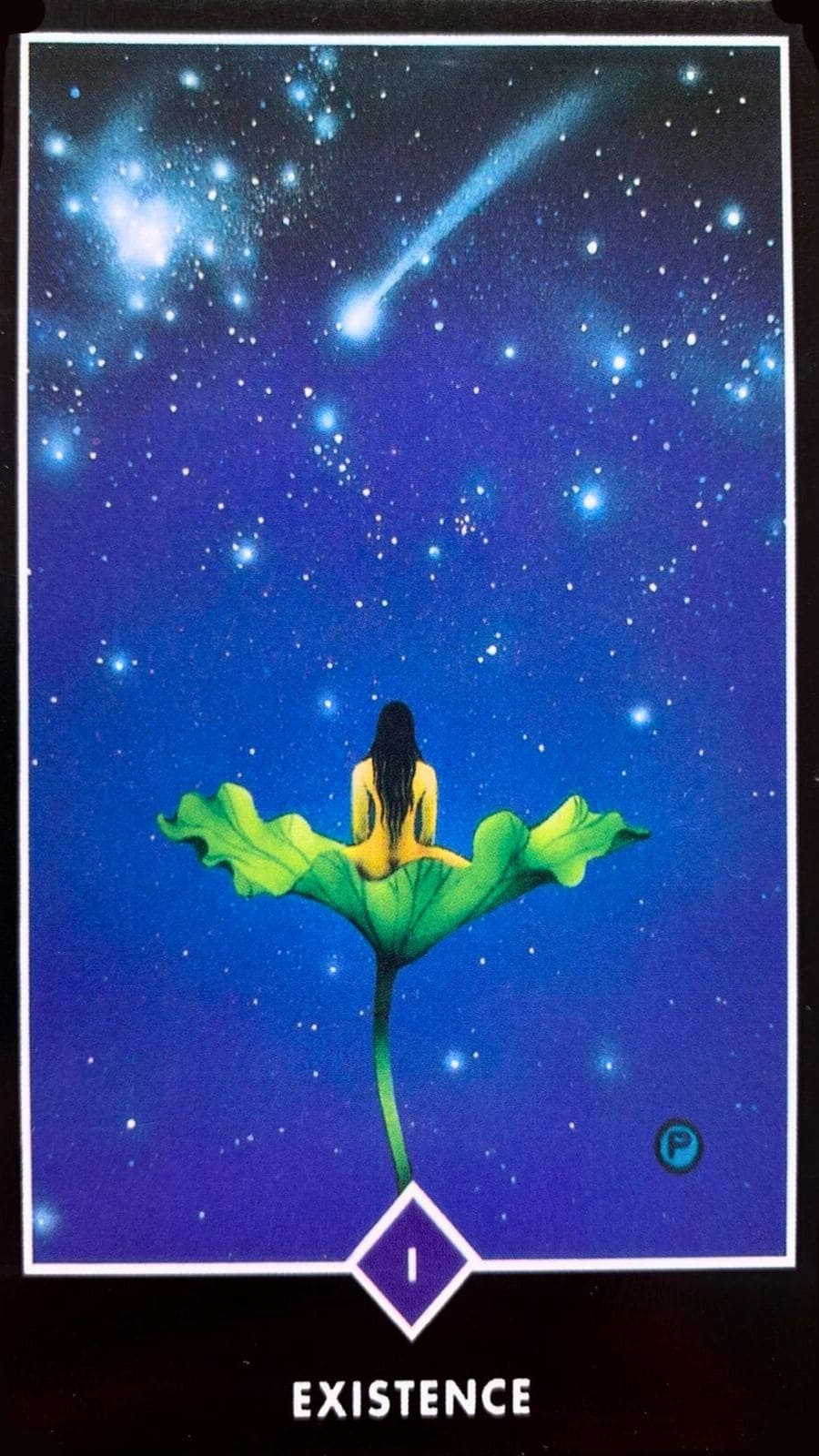 mulher sentada em cima de uma flor olhando para um ceu cheio de estrelas