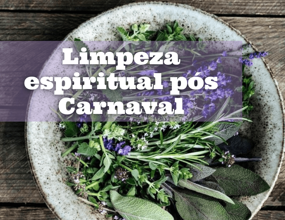 bacia cheia de ervas e plantas para um banho espiritual