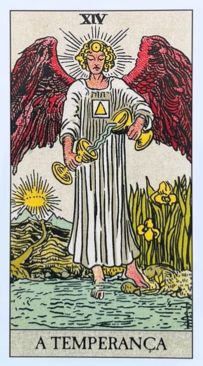 um anjo com asas, posicionado entre a terra e a �gua, vertendo l�quido de um c�lice para outro, ele � loiro e usa um manto branco.