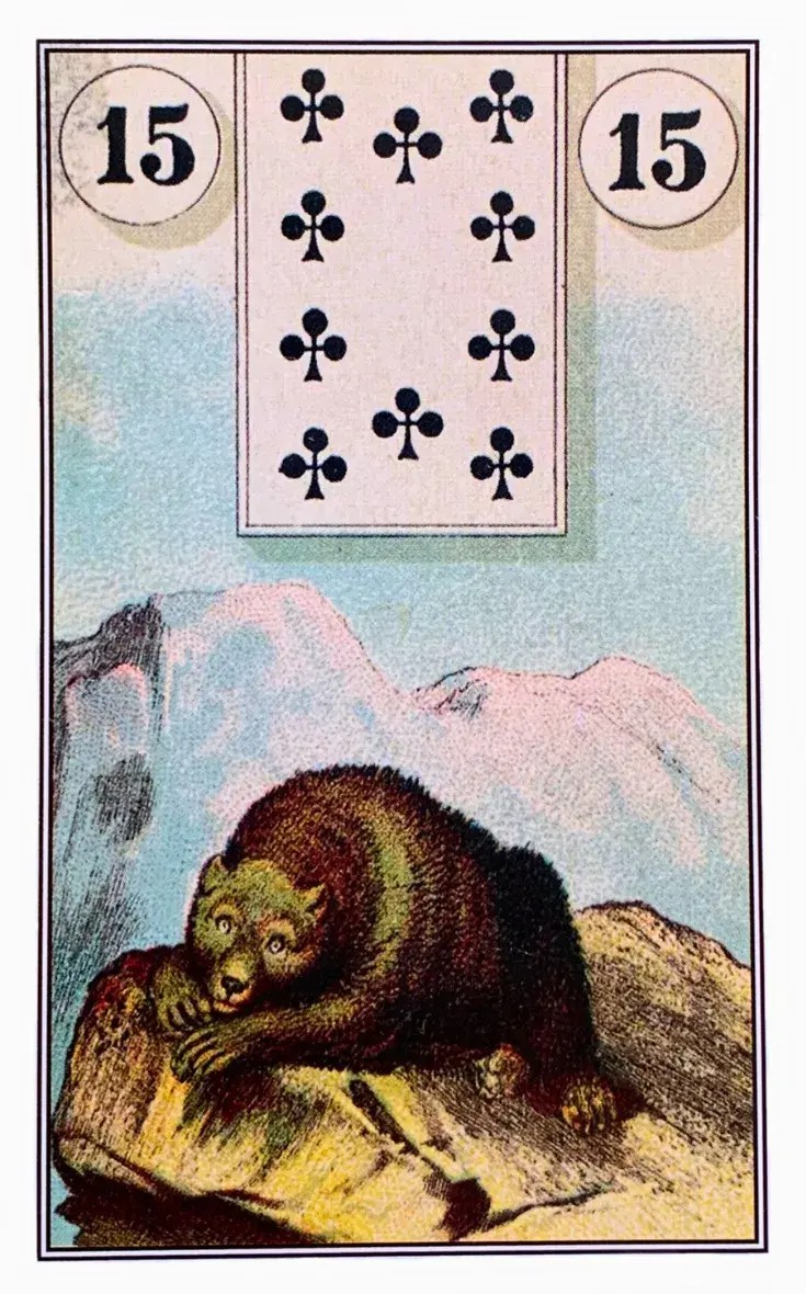 um urso marrom deitando em cima de uma pedra