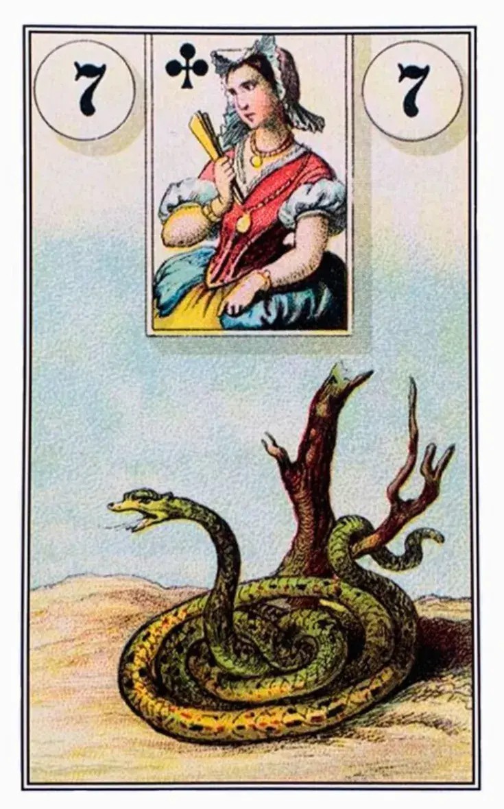 a imagem de uma cobra ou servente verde enrolada em um tronco de arvore no ch�o de terra
