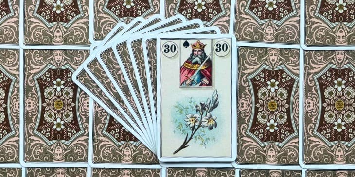 Uma flor de l�rio branco