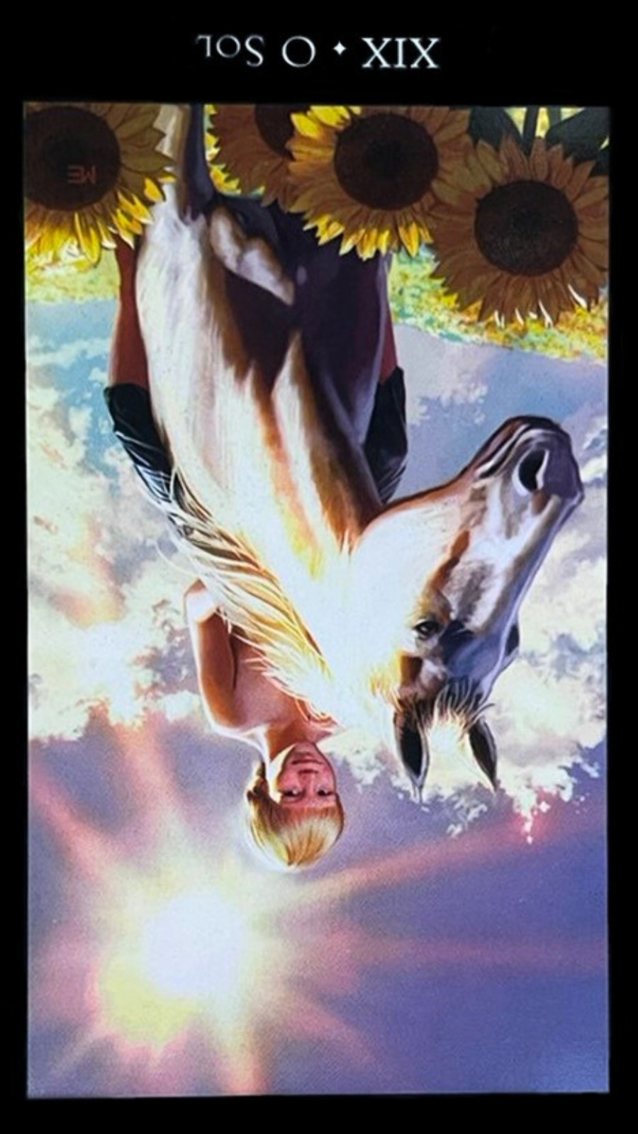 um menino em cima de um cavalo branco em um campo cheio de girass�is.