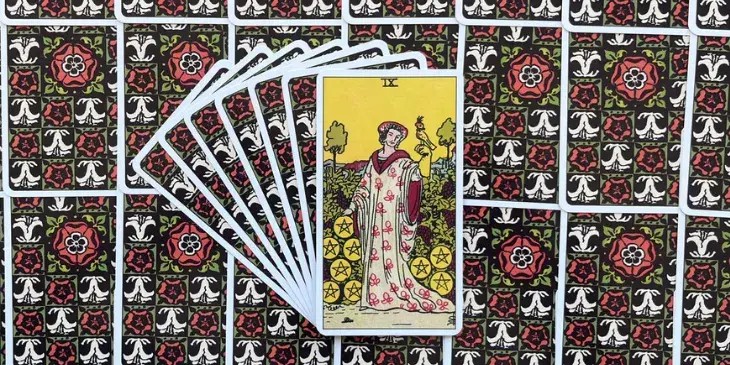 uma mulher elegante, adornada com vestes vermelhas e um manto azul, passeia por um vinhedo exuberante. Seu semblante transmite serenidade e contentamento, enquanto um falc�o pousado em sua m�o esquerda simboliza o dom�nio sobre seus instintos e paix�es. A mulher est� cercada por nove moedas de ouro, dispostas em um arco perfeito, representando a culmina��o de seus esfor�os e a abund�ncia material que conquistou.