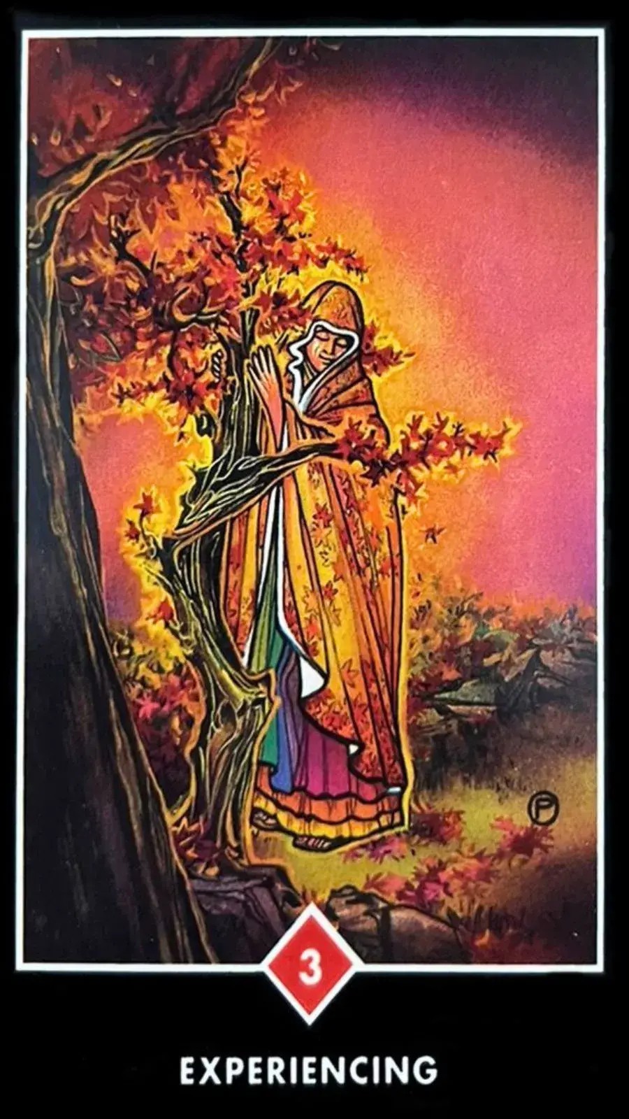 A imagem central da carta mostra uma mulher em conex�o �ntima com uma �rvore antiga. Esta �rvore simboliza a sabedoria adquirida atrav�s do tempo e das dificuldades enfrentadas. Com seus galhos estendidos, ela convida a mulher - e o leitor da carta - a partilhar desta sabedoria, A mulher, por sua vez, est� vestida com um manto p�rpura com o interior branco.