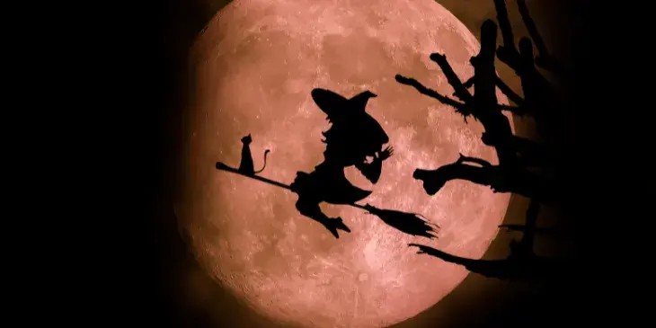 uma figura de uma bruxa voando em uma vassoura com um gato na ponta e uma lua cheia no fundo