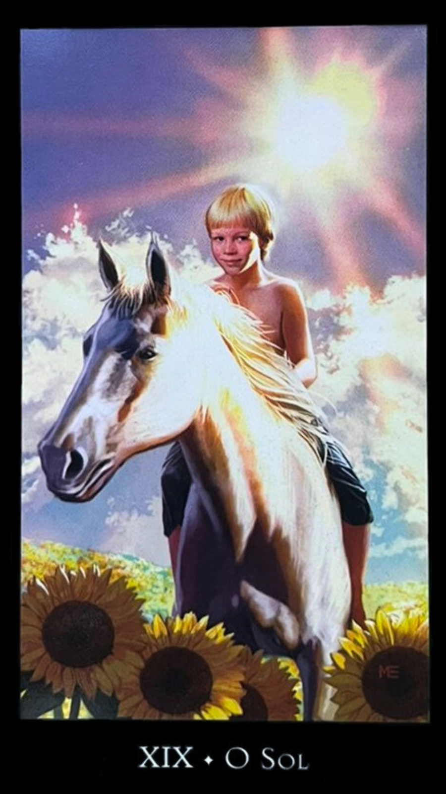 um menino em cima de um cavalo branco em um campo cheio de girass�is.