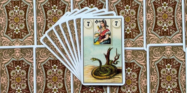 a imagem de uma cobra ou servente verde enrolada em um tronco de arvore no ch�o de terra