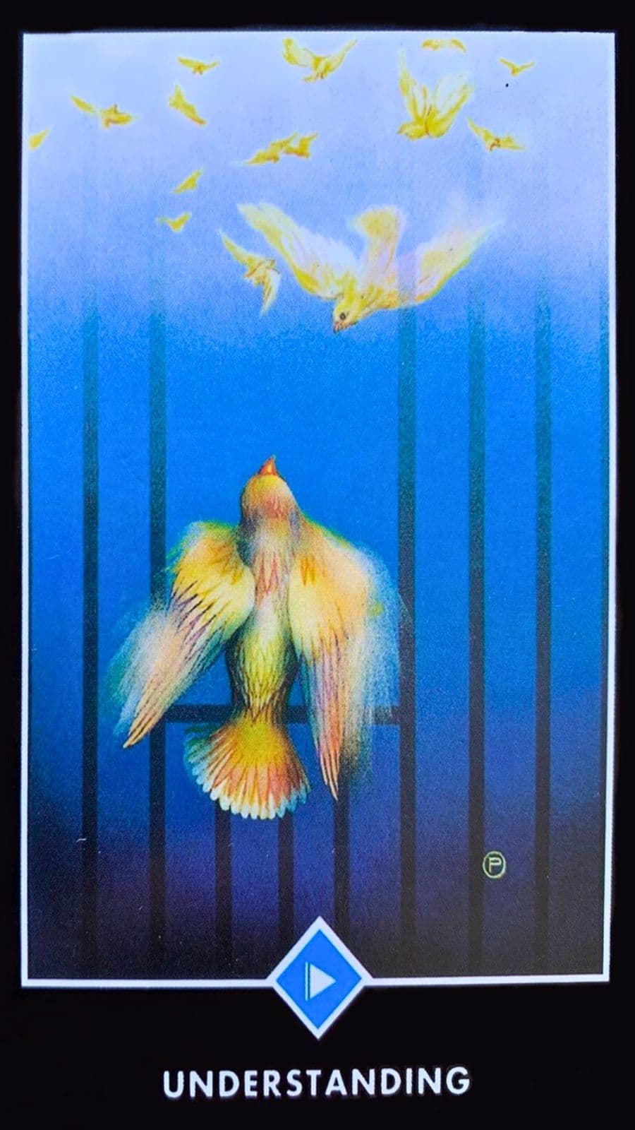 carta do taro zen osho virada mostrando a imagem de um passaro saindo de uma grade que parece uma gaiola, esse p�ssaro � amarelo e esta voando em um c�u azul.