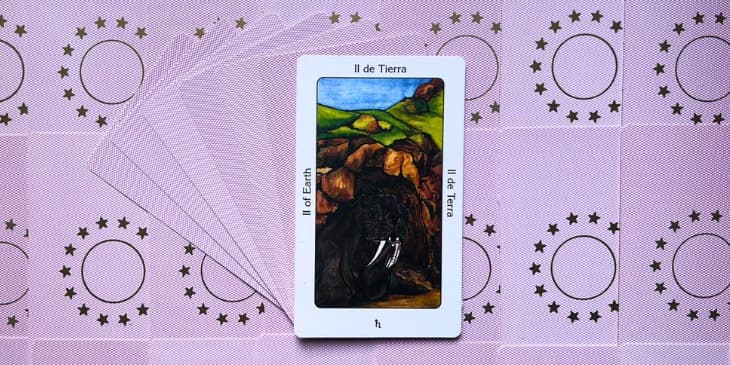A Carta orixa dois de terra mostra um leao marinho com seus dentes grandes na beira de uma praia com grama verde ao fundo e um ceu azul.
