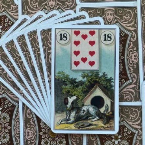 Baralho Cigano - O Cachorro: Significado e interpreta��o da Carta 18 - Or�culos Web