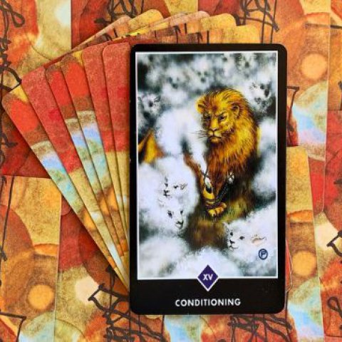 Tarot Zen Osho - Condicionamento (O Diabo): Significado e interpreta��o da carta - Or�culos Web