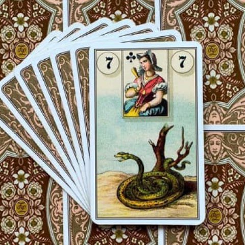 Baralho Cigano - A Cobra ou Serpente: Significado e interpreta��o da Carta 7 - Or�culos Web