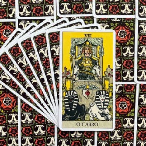 Tarot Rider Waite - O Carro (Carta 7): Descubra o Significado e interpreta��o da carta - Or�culos Web
