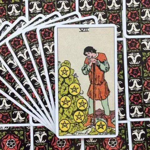 Sete de Ouros - Tarot Rider Waite: Descubra o Significado e Interpreta��o desse Arcano Menor - Or�culos Web.