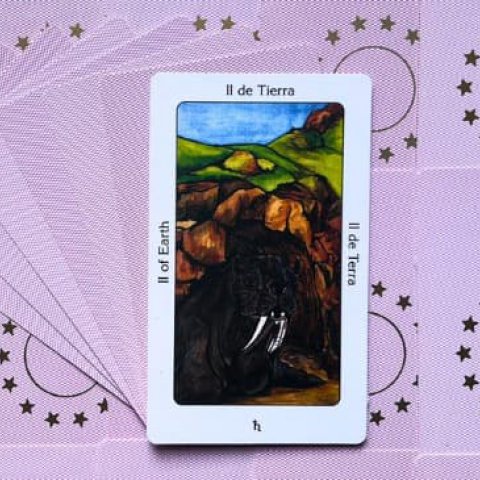 Tarot Sagrado dos Orix�s: Dois de Terra - Significado e interpreta��o da carta - Or�culos Web