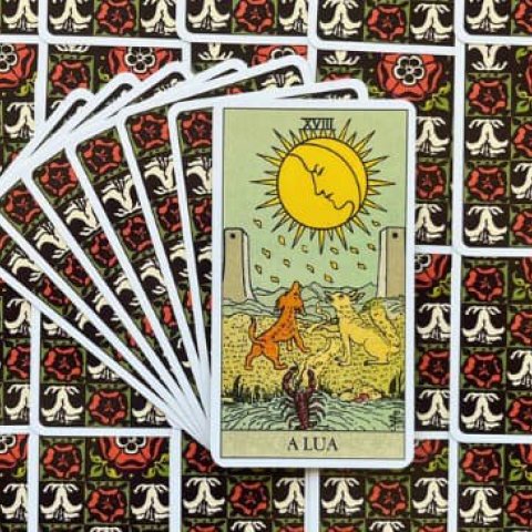 Tarot Rider Waite - A Lua (Carta 18): Descubra o Significado e interpreta��o da carta - Or�culos Web