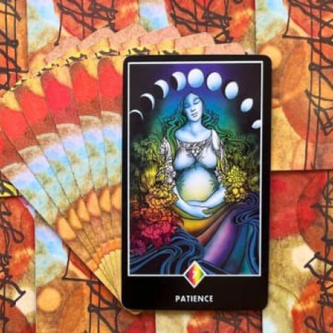 Tarot Zen Osho - Paci�ncia (7 de Ouros): Significado e interpreta��o da carta - Or�culos Web.