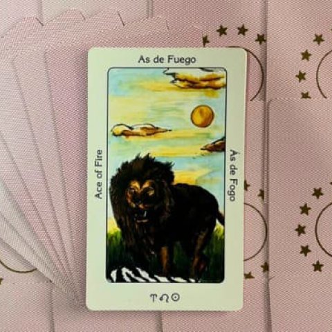 �s de Fogo: Tarot Sagrado dos Orix�s - Significado e interpreta��o da carta - Or�culos Web