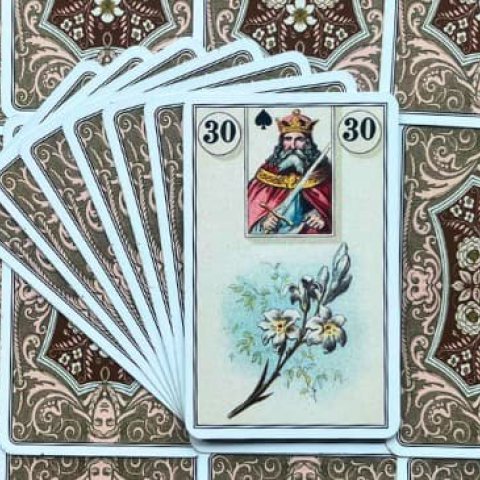 Baralho Cigano - Os L�rios: Significado e interpreta��o da Carta 30 - Or�culos Web