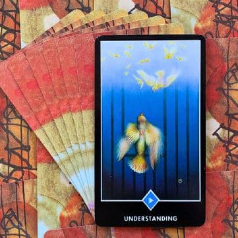 Tarot Zen Osho - Compreens�o (Valete da �gua): Significado e interpreta��o da carta - Or�culos Web