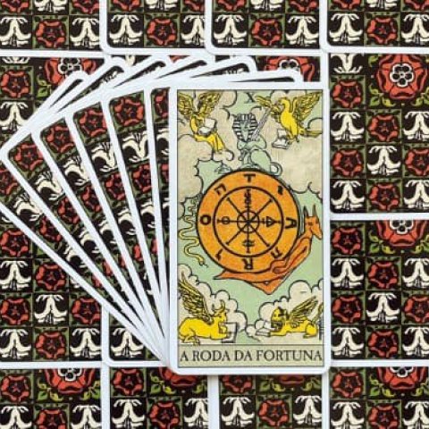 Tarot Rider Waite - A Roda da Fortuna (Carta 10): Descubra o Significado e interpreta��o da carta - Or�culos Web