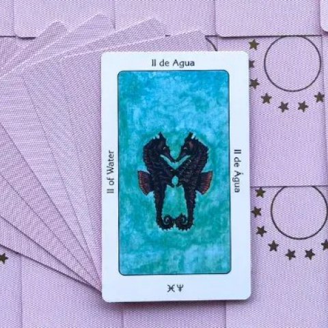 Tarot Sagrado dos Orix�s - Dois de �gua: Significado e interpreta��o da carta - Or�culos Web