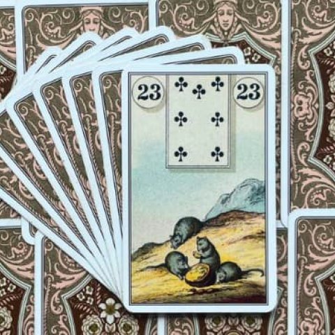 Baralho Cigano - O Rato: Significado e interpreta��o da Carta 23 - Or�culos Web