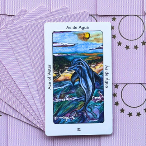 Tarot Sagrado dos Orix�s - �s de �gua: Significado e interpreta��o da carta - Or�culos Web.