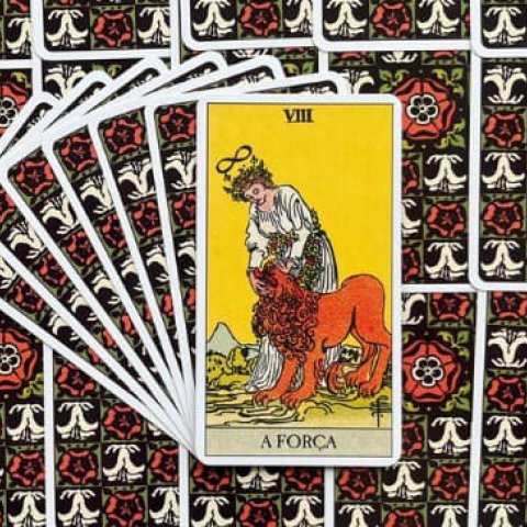 Tarot Rider Waite - A For�a (Carta 8): Descubra o Significado e interpreta��o da carta - Or�culos Web