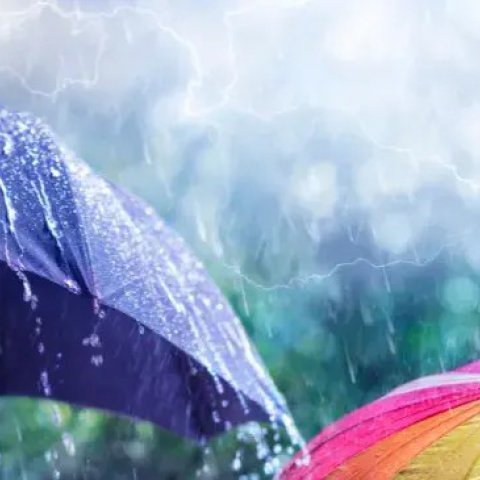 Significado de Sonhar com Chuva: Simbolismo e Interpreta��es - Or�culos Web