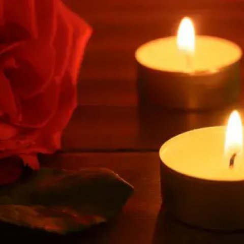 Simpatia das Rosas para o Amor: Cultive Relacionamentos Floridos - OraculosWeb