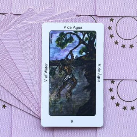 Tarot Sagrado dos Orix�s: Cinco de �gua Significado e interpreta��o da carta - Or�culos Web