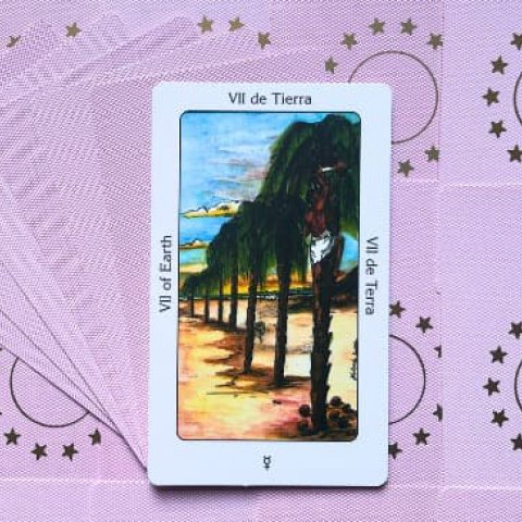 Sete de Terra: Tarot Sagrado dos Orix�s - Significado e interpreta��o da carta - Or�culos Web