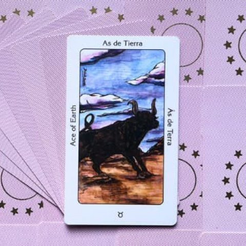 Tarot Sagrado dos Orix�s: �s de Terra - Significado e interpreta��o da carta - Or�culos Web